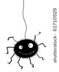 funny crazy hairy spider...
