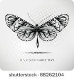 butterfly hand drawing.vector