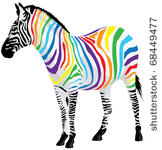 zebra. strips of different...