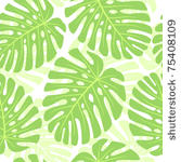 leaves of tropical plant  ...