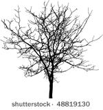 tree silhouette   detailed...