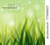 vector natural design