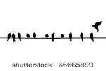 a silhouette of birds  purple...