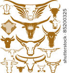 cow head collection
