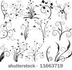 vector floral elements for...