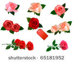 set with a beautiful roses....