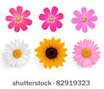 big set of beautiful colorful...