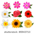 big set of beautiful colorful...