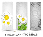 three elegant banners   flower...