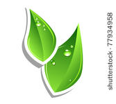 green leafs. vector web element....