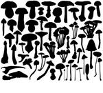 collection of vector mushroom...