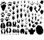 collection of vector outlines...