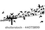 vector silhouettes of birds...