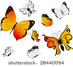 butterflies set for design.