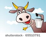 joyfull cow with the bucket of...