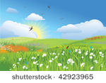 colorfull meadow   flower and...