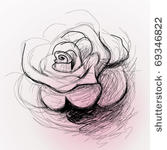 rose flower   realistic sketch  ...