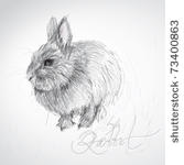 cute rabbit   realistic sketch  ...