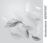 feather background