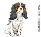 vector image of the dog breed...