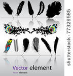color  black and white feather...