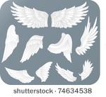 white wings