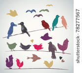 vector set of sketched birds on ...