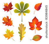 autumn leaves