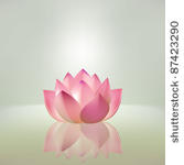 beautiful pink lotus flower...