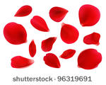 beautiful red rose petals....