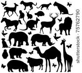 illustration of collection of...