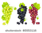 illustration of different...