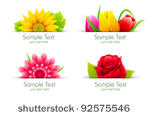 illustration of set of colorful ...