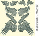 wings tribal set