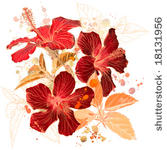 hibiscus flower   vector...