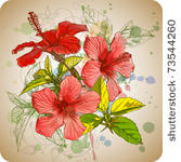 hibiscus flowers   watercolor...