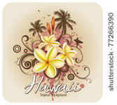 plumeria tropical flowers