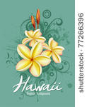 plumeria tropical flowers