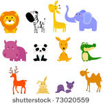 animal