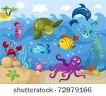 sea life