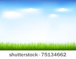green grass and blue sky ...
