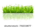 grass and leafs  isolated on...