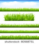 green grass and leafs set ...