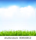 grass and sky  vector...
