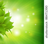 green background with leafs and ...
