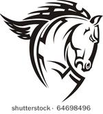 beautiful horse.
