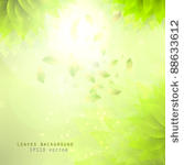 green leaves  eco background...
