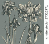 classical wall paper with a...