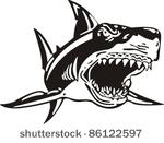shark