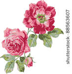 two red flower on a branch with ...